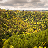 Buy canvas prints of Spring in the Staward Gorge by John Malley