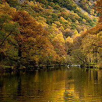 Buy canvas prints of The Shimmering Derwent in Borrowdale by John Malley