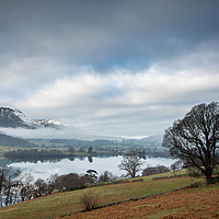 Buy canvas prints of The Lonesome Tree by John Malley