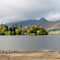 Buy canvas prints of Derwentwater Greens by John Malley