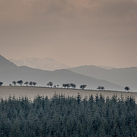 Buy canvas prints of A Line Up by John Malley