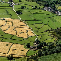 Buy canvas prints of Haymaking at Wasdale Head  by John Malley