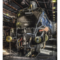Buy canvas prints of  60007 'Sir Nigel Gresley' at Grosmont train sheds by David Oxtaby  ARPS