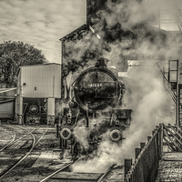Buy canvas prints of  61034 'Chiru' at Grosmont trainsheds by David Oxtaby  ARPS