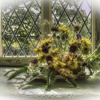 Buy canvas prints of  Faded Flowers by David Oxtaby  ARPS