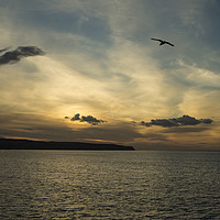 Buy canvas prints of Dusk over Whitby by David Oxtaby  ARPS
