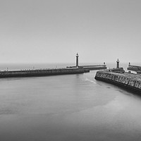 Buy canvas prints of Whitby Harbour monochrome by David Oxtaby  ARPS