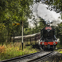 Buy canvas prints of Scotsman heading through the signal by David Oxtaby  ARPS