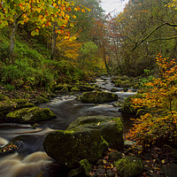 Buy canvas prints of River through Hardcastle Crags by David Oxtaby  ARPS