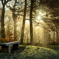 Buy canvas prints of bench at St Ives in the mist by David Oxtaby  ARPS