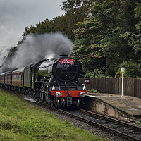 Buy canvas prints of Flying Scotsman arriving at Irwell Vale by David Oxtaby  ARPS