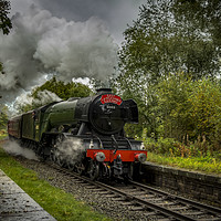 Buy canvas prints of Flying Scotsman passing through Stubbins by David Oxtaby  ARPS