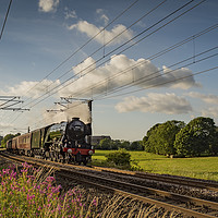 Buy canvas prints of Flying Scotsman  heading to York by David Oxtaby  ARPS