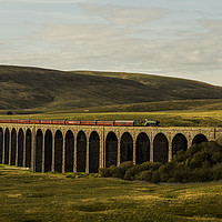 Buy canvas prints of Flying Scotsman passing over Ribbleshead Viaduct by David Oxtaby  ARPS