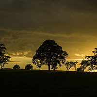 Buy canvas prints of Sun setting over Embsay by David Oxtaby  ARPS