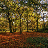 Buy canvas prints of 		 autumn in the park		.	 by stephen king