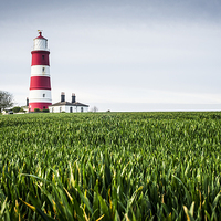 Buy canvas prints of  Happisburgh Lighthouse by Darren Carter