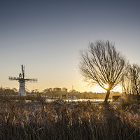 Buy canvas prints of  Thurne Windmill at Dawn by Darren Carter