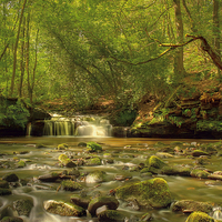 Buy canvas prints of Babbling Brook  by IAN SUFFIELD
