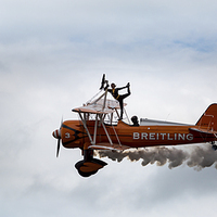 Buy canvas prints of  The Wing Walker by ashley barnard