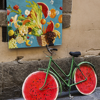 Buy canvas prints of  Bicycle with Melon Wheels by Stephen Silk