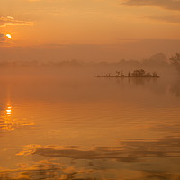 Buy canvas prints of Earlswood Lakes Misty Sunrise, Warwickshire by Jonathan Smith