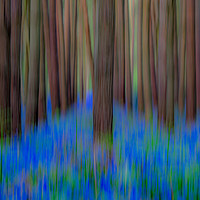 Buy canvas prints of Blue Bell art ICM (Intentional Camera Movement) by Jonathan Smith
