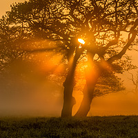 Buy canvas prints of Brecon Beacons, Wales stunning misty sunrise by Jonathan Smith