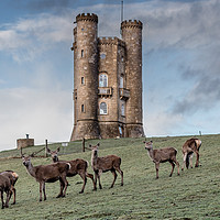 Buy canvas prints of Broadway Tower, Broadway, Worcestershire by Jonathan Smith