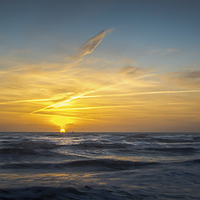 Buy canvas prints of  Brighton sunset by Mark Caplice