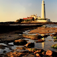 Buy canvas prints of  Rockpools, St Marys by Alexander Perry