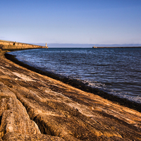 Buy canvas prints of  Tynemouth Haven by Alexander Perry