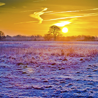 Buy canvas prints of  Winter's Morn by Alex Sheppard
