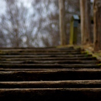 Buy canvas prints of  Woodland Steps by Squawk Photography