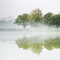 Buy canvas prints of  Misty Dawn by Kate Barclay