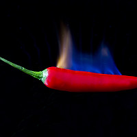 Buy canvas prints of Red Hot Chilli by Des O'Connor