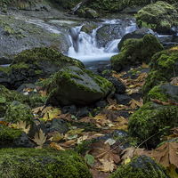 Buy canvas prints of  Fall on Tanner Creek, Oregon by Hans Franchesco