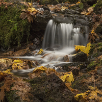 Buy canvas prints of  Fall colors on Wahkeena Creek by Hans Franchesco