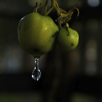 Buy canvas prints of  A little drop of water by Hans Franchesco