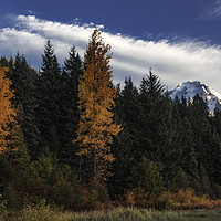Buy canvas prints of Color at Mt. Hood by Hans Franchesco