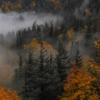 Buy canvas prints of Fall in the gorge by Hans Franchesco