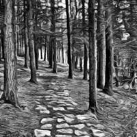 Buy canvas prints of  Painted Woodland Path by Zena Clothier