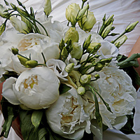 Buy canvas prints of The Bride's Bouquet by Zena Clothier