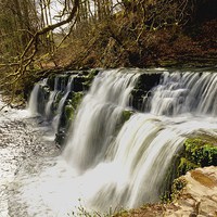 Buy canvas prints of Peaceful Waterfall! by Zena Clothier