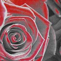 Buy canvas prints of The Rose by Zena Clothier