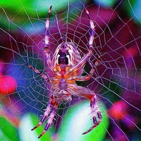 Buy canvas prints of  A spider of a different kind. by Catherine Cross