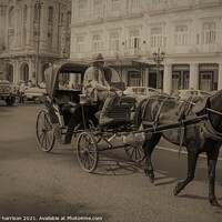 Buy canvas prints of Havana Centro Taxi by henry harrison