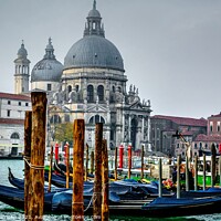 Buy canvas prints of Gondolas Venice by henry harrison