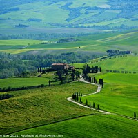 Buy canvas prints of Tuscany Landcape by henry harrison