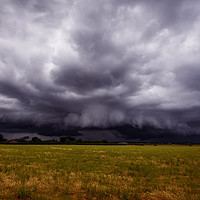 Buy canvas prints of Facing the Storm by Colin Askew